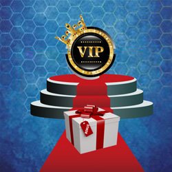 promotions programme vip stakes casino